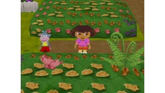 Butterfly Garden