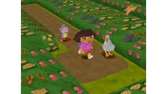 Butterfly Garden Goose