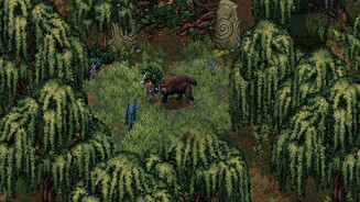 Drova 2: Torn Lands
