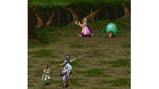 Random battle in forest