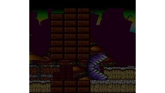 Bonus level