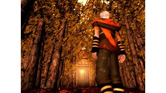 EvergracePS2-8644-350 1