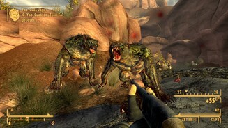 Fallout: New Vegas - Honest HeartsPC-Screenshots aus dem DLC