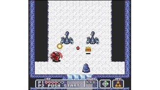 Fighting two scorpions