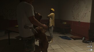 GTA 6 (Netflix Reveal)