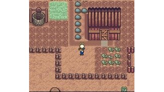 Turnip harvest! When the leaves grow large enough, it means you can harvest your crops. Harvest=Money.