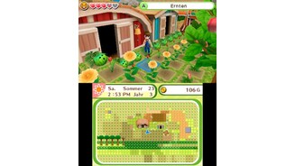 Harvest Moon: Dorf des Himmelsbaumes