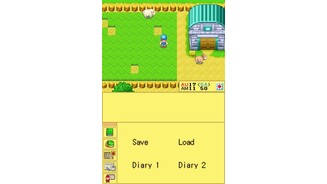Harvest Moon DS 11