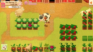 Harvest Moon: Light of Hope