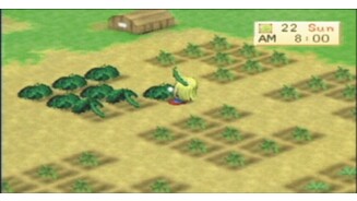 HarvestMoonBoyGirlPSP-11513-8 11