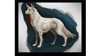 Concept art of Howie, the white German Shepherd