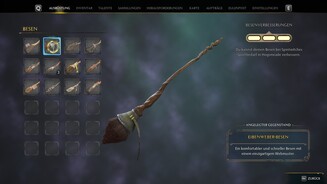Hogwarts LegacyEibenweber