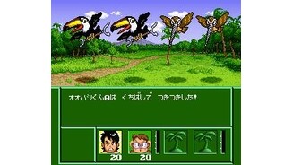 Attacked and hurt by birds and insects