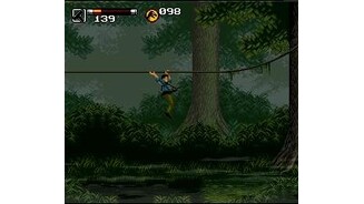 Swinging on some vines.