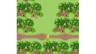 Enchanted forest