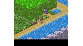 In a garden, meeting a baby Baron