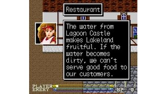 Talking to restaurant owner