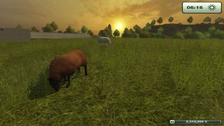 Landwirtschafts-Simulator 2013Schafe sind eine von zwei neuen Viehzucht-Optionen, neben den bekannten Kühen.