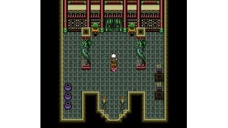 As the great kung-fu master Roshi, youve finally found your way to the enemys castle...