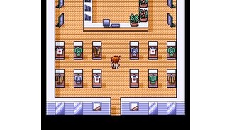 Hey, the girls will probably need some clothes!