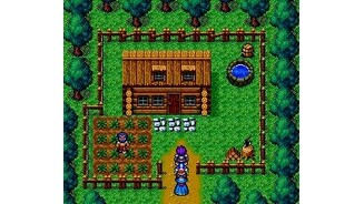 Visiting a little secluded house