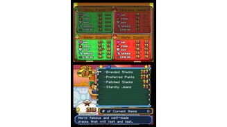 MarioLuigiZusammenZeitDS 11