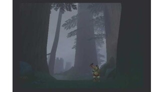 Entrance to the forest