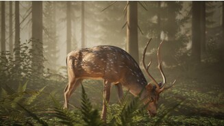 Middle Ages: Peasants and Knights - Screenshots