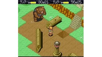 Lure the bear to the hole