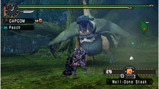 Monster Hunter Freedom Unite