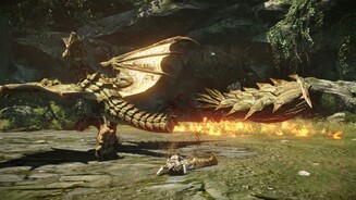 Monster Hunter Online