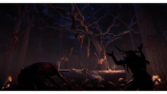 Nested Lands