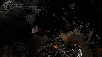 Ninja Gaiden 3Suchbild mit Ninja: Die Kamera funktioniert über weite Strecken, gelegentlich gibts aber auch Ausfälle.