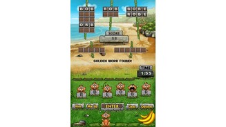 Pogo Island DS 3