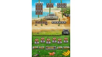 Pogo Island DS 4