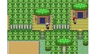 Tree houses?