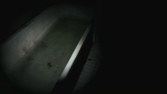 P.T. Silent HillsVor allem an der Zahl 204863 haben sich einige Spieler festgebissen. Angeblich verberge sich dahinter nebst weiteren Deutungen auch die Nachricht »Schau in die Badewanne« und der Verweis auf einen bestimmten Botenstoff, der durch das Gehirn ausgeschüttet wird.