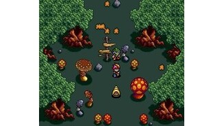 Mushroom forest