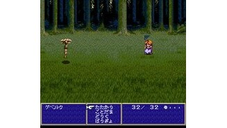 A battle in the forest