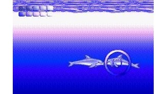 Ecco the Dolphin: Talking to Another Dolphin