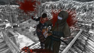 shinobido 2: Revenge of Zen