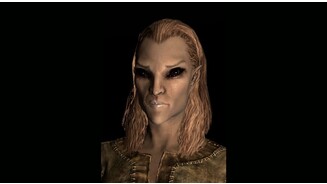 Skyrim: GesichtsvariationenWoodelf