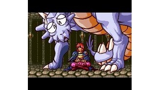 Thats one big pet animal...