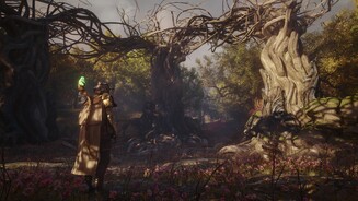 Soulframe