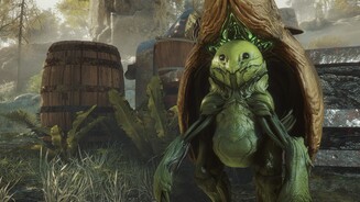 Soulframe