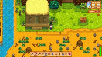 Stardew Valley