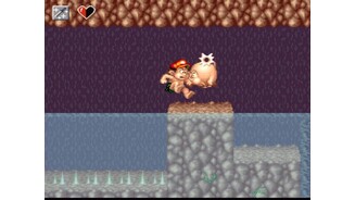 A collision with a pig