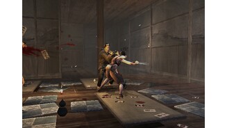Tenchu Fatal Shadows 17
