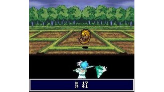 The random enemy casts a spell on Higan