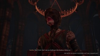 The Blood of Dawnwalker